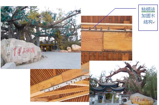 �л�����԰�ӹ̸��칤��